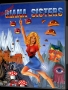 Commodore  Amiga&nbsp; - &nbsp;Great Giana Sisters